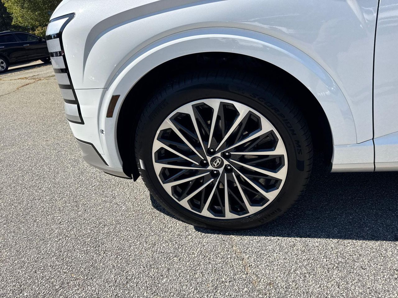 2026 Hyundai Palisade Calligraphy photo 9