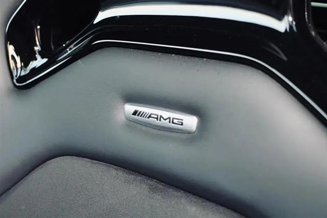 2018 Mercedes-Benz AMG GT AMG GT R
