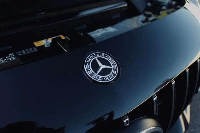 2018 Mercedes-Benz AMG GT AMG GT R