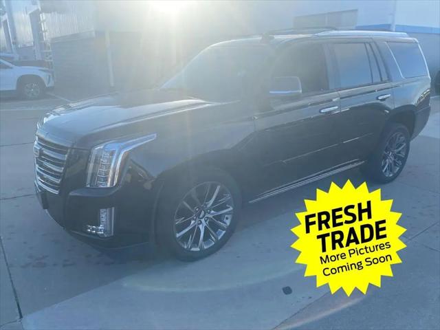 2019 Cadillac Escalade Platinum for sale in Charles City, IA