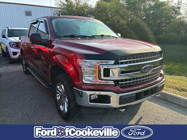 2019 Ford F-150 XLT for sale in Cookeville, TN