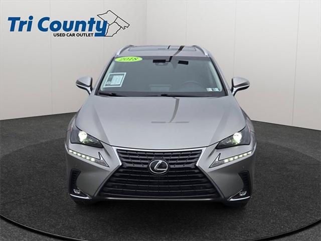 2018 Lexus NX 300 F Sport 2018 Lexus NX 300 F Sport