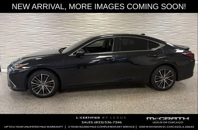 2022 Lexus ES 250 Luxury for sale in Chicago, IL
