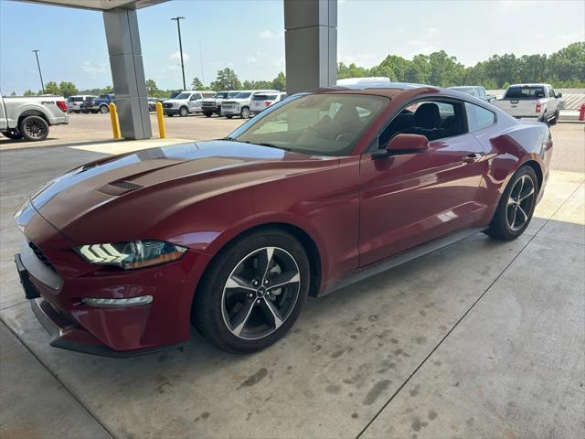 2019 Ford Mustang EcoBoost for sale in Hattiesburg, MS