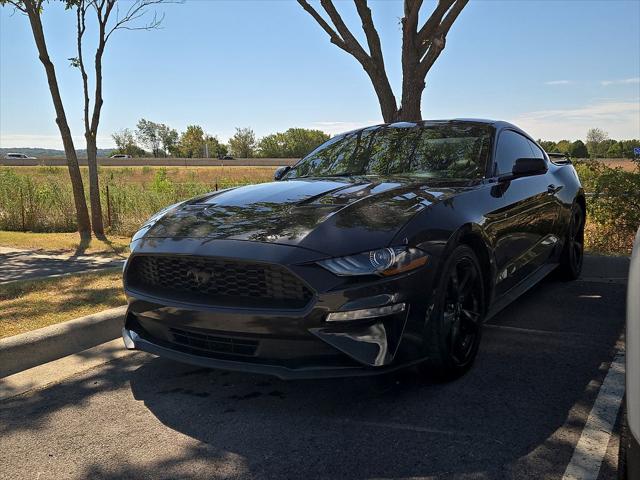 2022 Ford Mustang EcoBoost Premium Fastback for sale in Fayetteville, AR