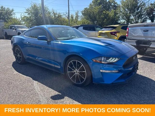 2021 Ford Mustang EcoBoost Fastback for sale in Abilene, TX