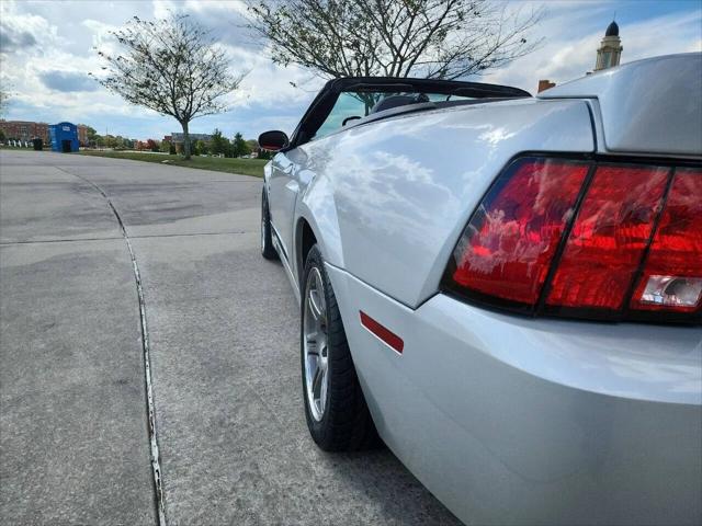 2003 Ford Mustang Cobra