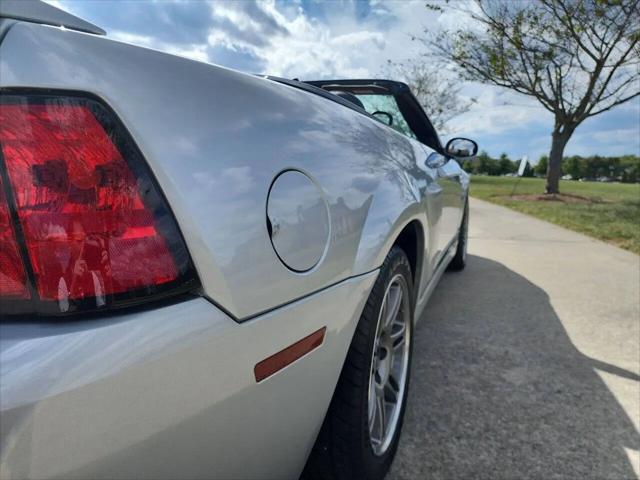 2003 Ford Mustang Cobra