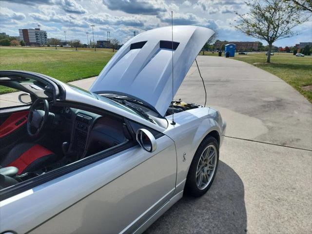 2003 Ford Mustang Cobra