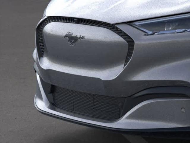 2023 Ford Mustang Mach-E California Route 1