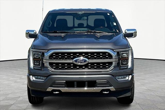 2021 Ford F-150 Platinum 2021 Ford F-150 Platinum