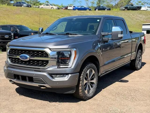 2022 Ford F-150 Platinum for sale in Oneonta, NY