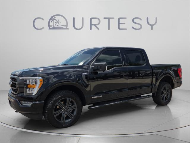 2023 Ford F-150 XLT for sale in Tampa, FL