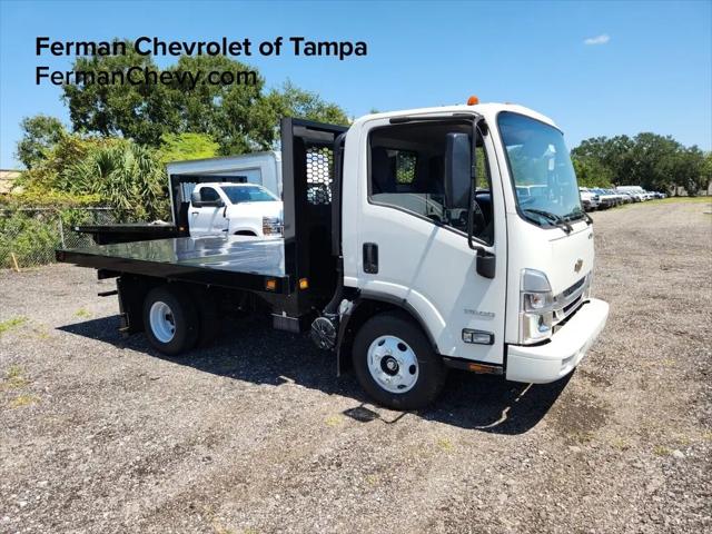 2024 Chevrolet 3500 LCF Gas 3500 HG LCF Gas for sale in Tampa, FL