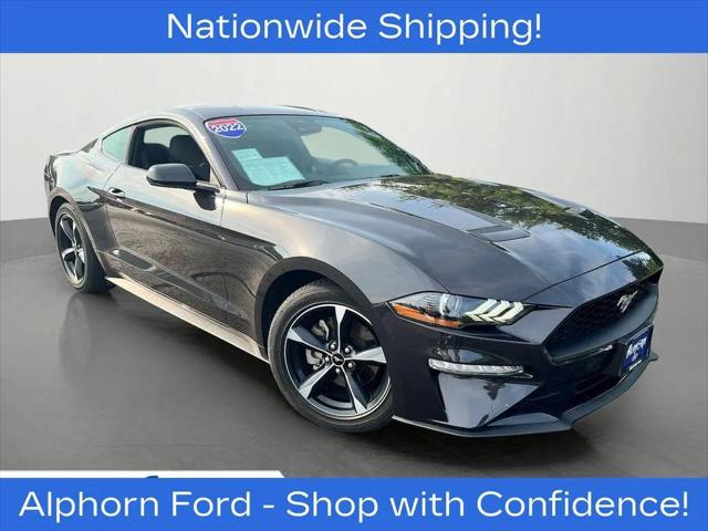 2022 Ford Mustang EcoBoost Fastback for sale in Monroe, WI