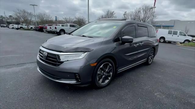 2023 Honda Odyssey Elite