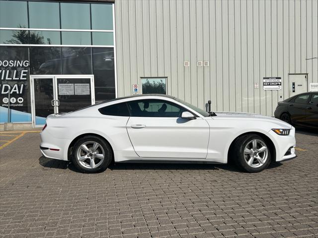 Mustang V6