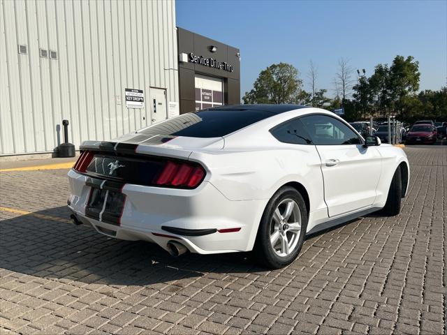 Mustang V6