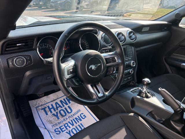 Mustang V6