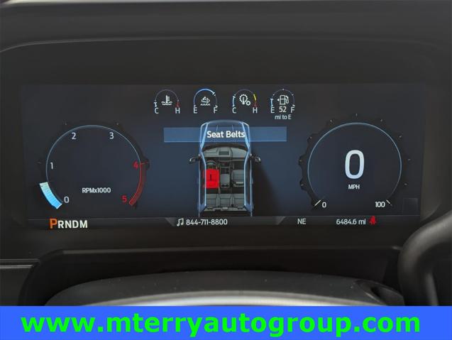 2024 Ford F-250 Platinum