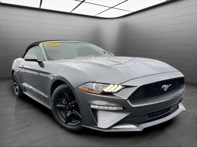 2019 Ford Mustang EcoBoost 2019 Ford Mustang EcoBoost