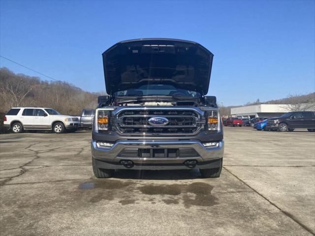 Used 2023 Ford F-150 For Sale in Pikeville, KY