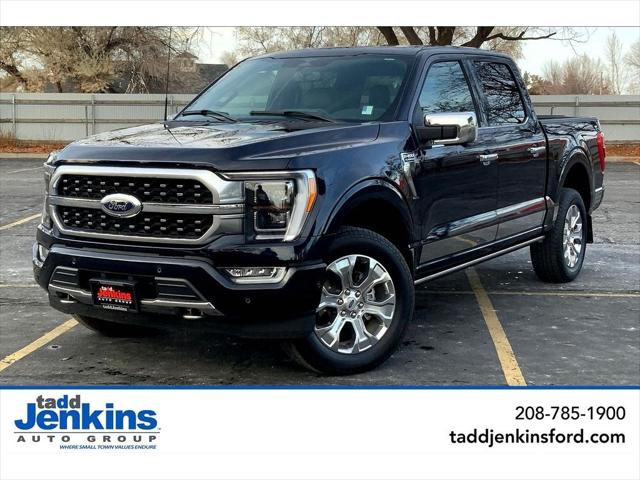 2023 Ford F-150 Platinum