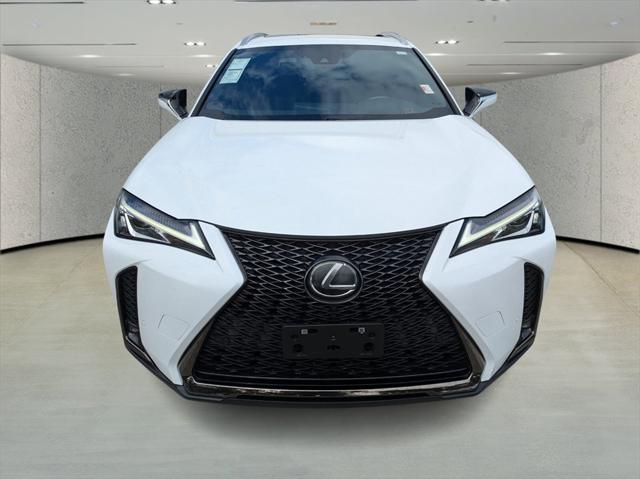 2019 Lexus UX 200 F SPORT