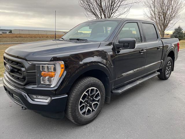 2023 Ford F-150 XLT for sale in Cody, WY