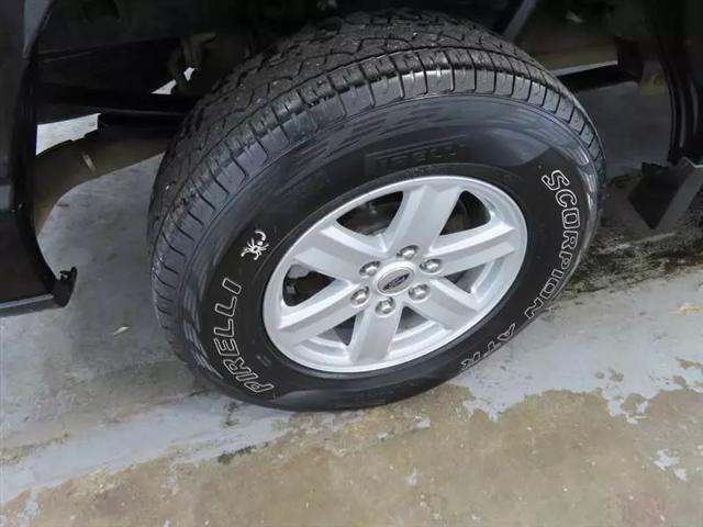 2021 Ford F-150 Tremor