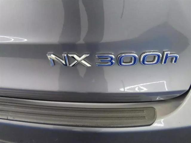 2019 Lexus NX 300h 300h Sport Utility 4D