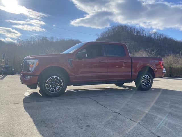 Used 2021 Ford F-150 XLT with VIN 1FTEW1EP7MKF13482 for sale in Pikeville, KY