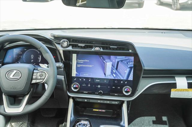 2025 Lexus 300 Premium