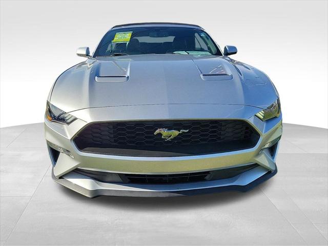 Used 2019 Ford Mustang For Sale in Muscle Shoals, AL