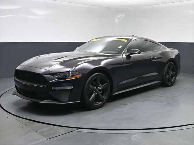 2022 Ford Mustang EcoBoost Fastback for sale in TERRE HAUTE, IN