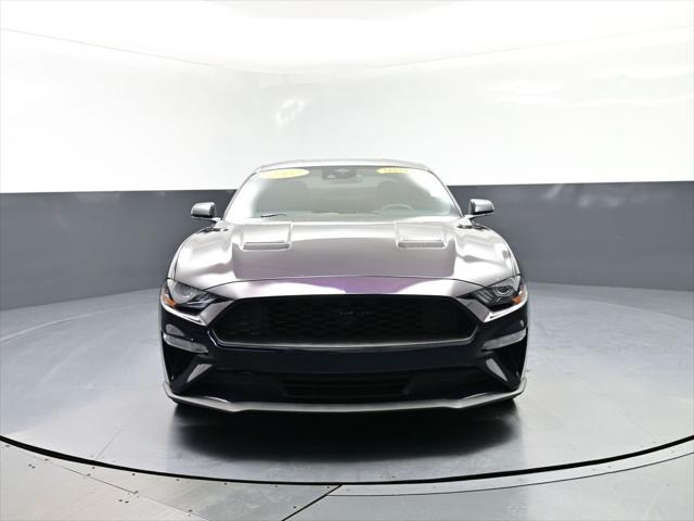 2022 Ford Mustang EcoBoost Fastback