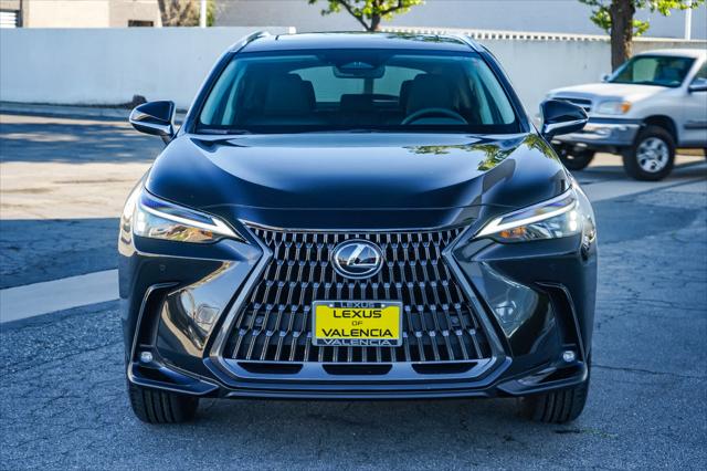 2025 Lexus NX Premium