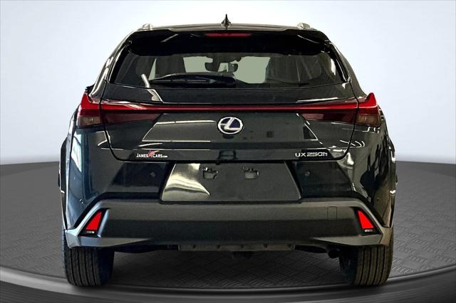 2022 Lexus UX 250h Unknown