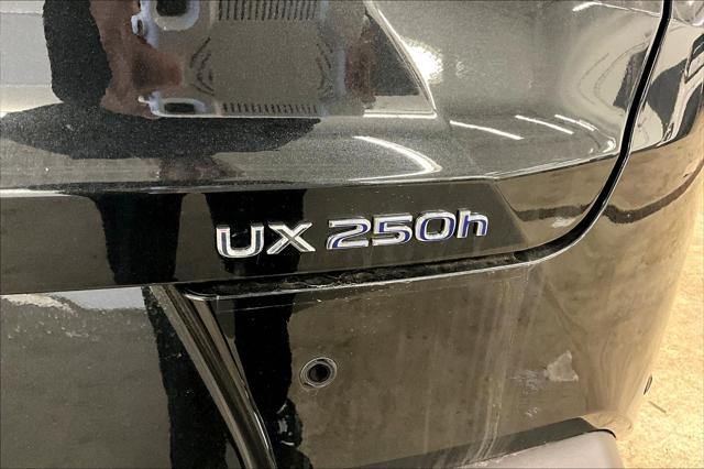 2022 Lexus UX 250h Unknown