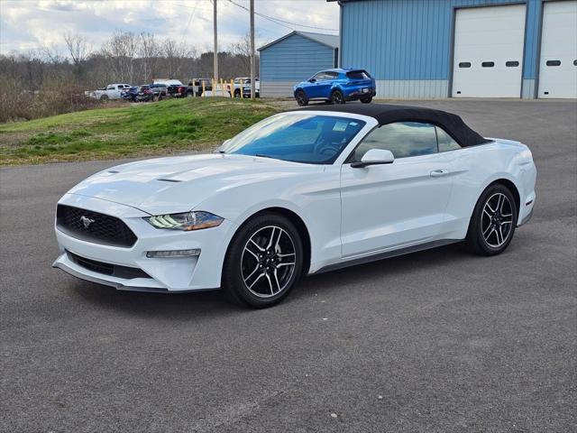 2023 Ford Mustang EcoBoost Premium Convertible 2023 Ford Mustang EcoBoost Premium Convertible