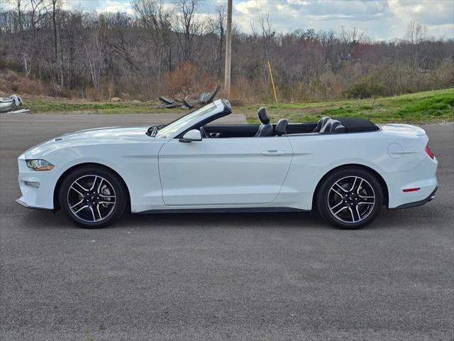 2023 Ford Mustang EcoBoost Premium Convertible 2023 Ford Mustang EcoBoost Premium Convertible