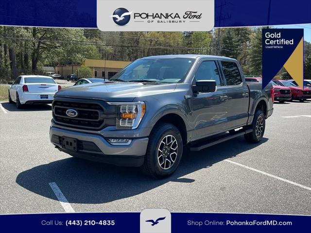 2023 Ford F-150 XLT