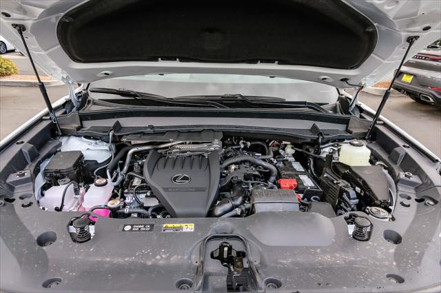 2025 Lexus TX 350 Premium