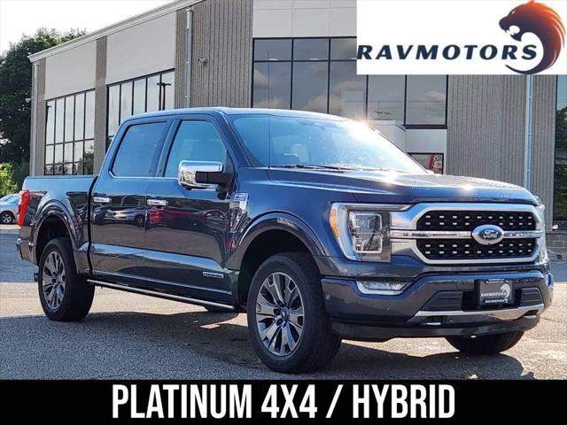 2021 Ford F-150 Platinum for sale in Minneapolis, MN