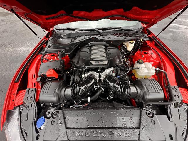 Used 2024 Ford Mustang For Sale in Pikeville, KY