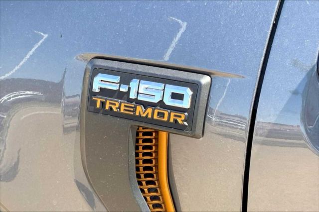 New 2025 Ford F-150 For Sale in Lubbock, TX