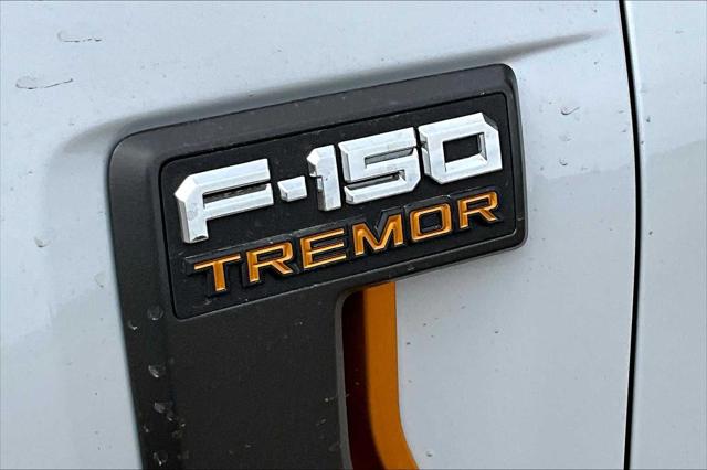 New 2025 Ford F-150 For Sale in Lubbock, TX