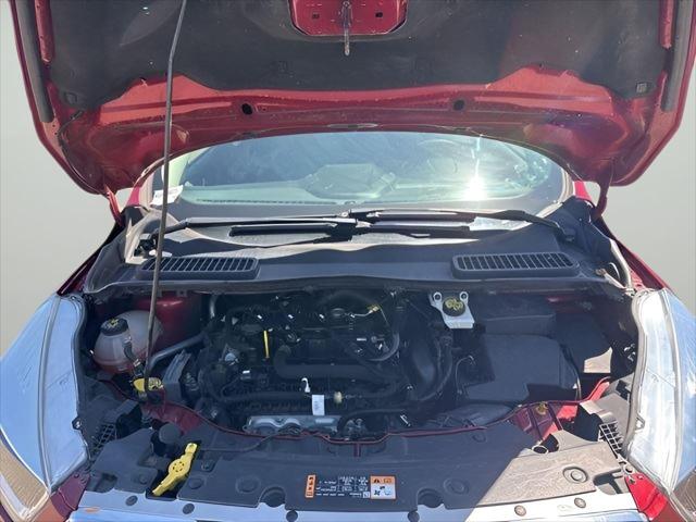 2019 Ford Escape SE 2019 Ford Escape SE