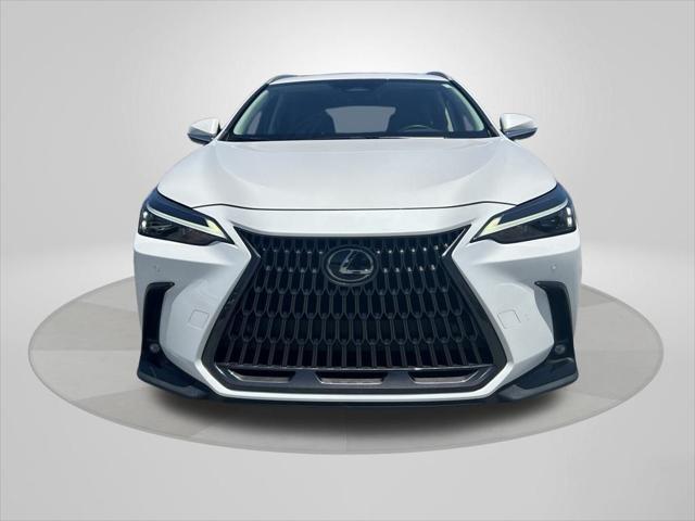 2022 Lexus NX 350 Premium
