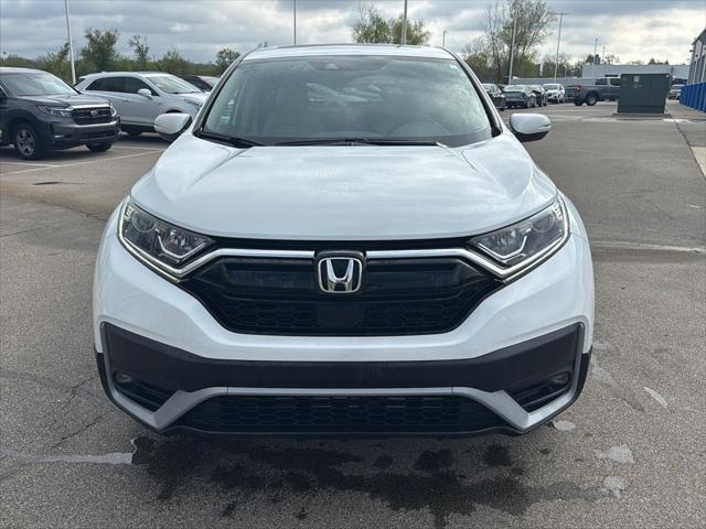 Used 2022 Honda CR-V For Sale in Jackson, MI